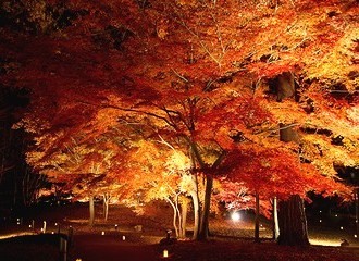秋の夜